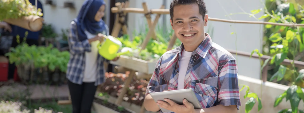 Person harvesting fresh vegetables in garden